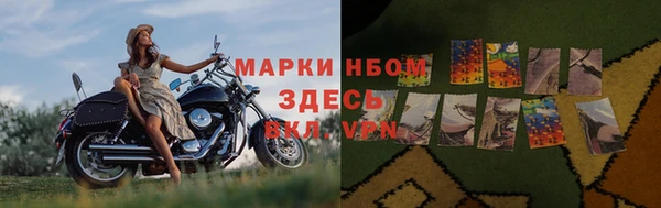 гидра Алексин