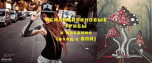 гидра Алексин