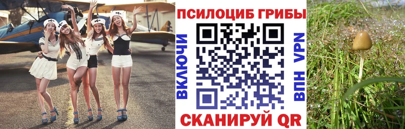 Псилоцибиновые грибы прущие грибы Суджа