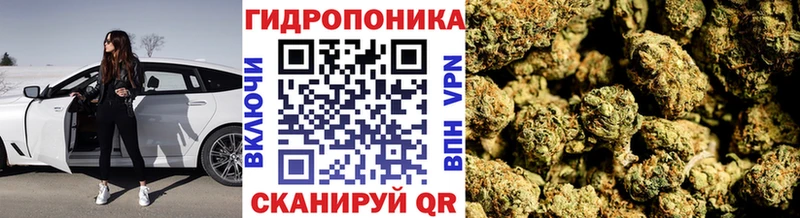 Шишки марихуана план  Суджа 